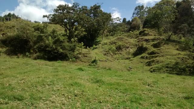 Se Ofrece Venta Lote Rural en Guarne 12.800 m2 cerca a