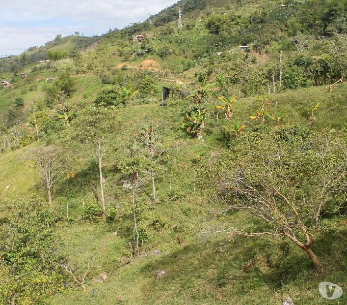 terreno para inversión.