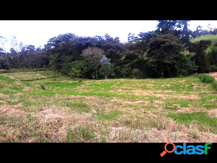 Lote Alto de Palmas Sector Acuarela