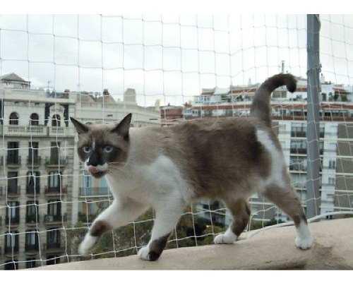 15 Mtr Malla Transparente Reja Plastica Mascota Gato Balcon