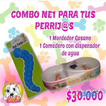 COMEDERO CON DISPENSADOR DE AGUA PARA PERROS