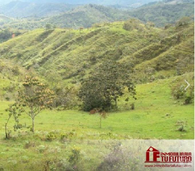 Se vende finca ganadera en Guadalupe Antioquia