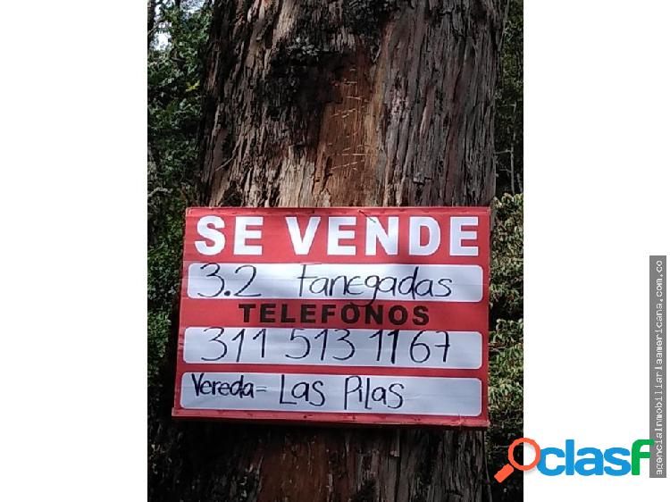 Finca 20.480m2 Las Pilas, Pacho Cundinamarca