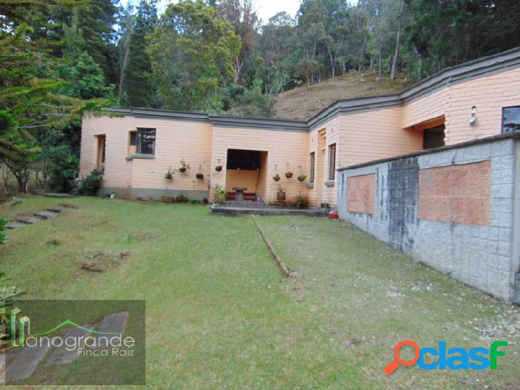 Finca en Arriendo, Rionegro Sajonia.