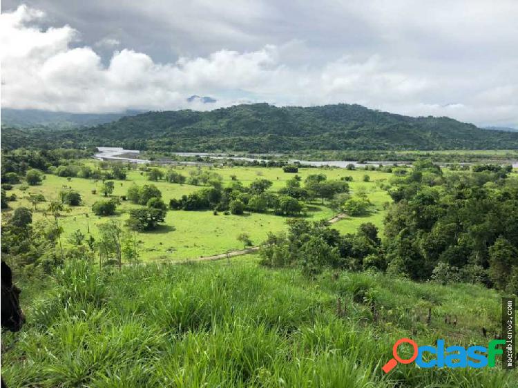 Finca ganadera en Puerto romero-puerto boyaca