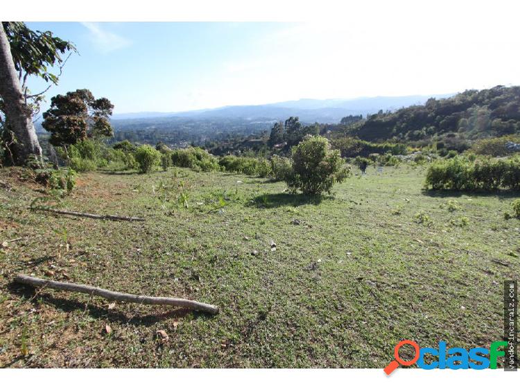 Lote en venta vereda la clarita- Guarne