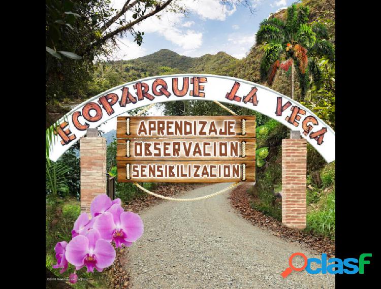 Lote en Venta Vereda Hoya Grande RAH C.O 20-642