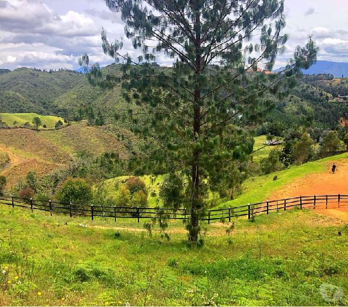 Lote en venta Guarne, vereda Batea seca