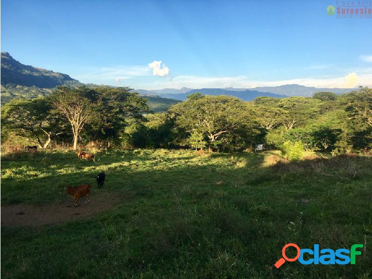 Lote en Jerico, suroeste Antioqueño