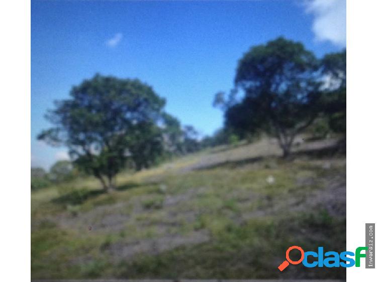 Vendo lote,Sopó,vereda Gratamira,54.00M2,