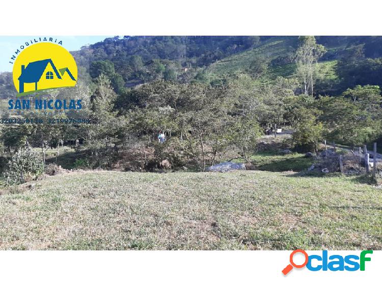 VENDO LOTE EN CHINACOTA (CINERAL)