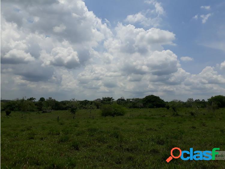 Finca de 24 Ha en MonterÃ­a, CÃ³rdoba