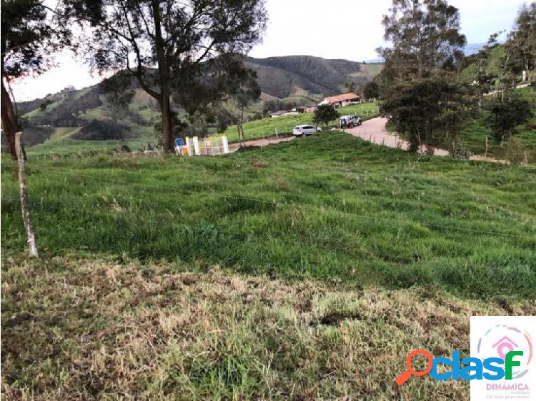 LOTE DE UNA CUADRA SAN PEDRO DE LOS MILAGROS