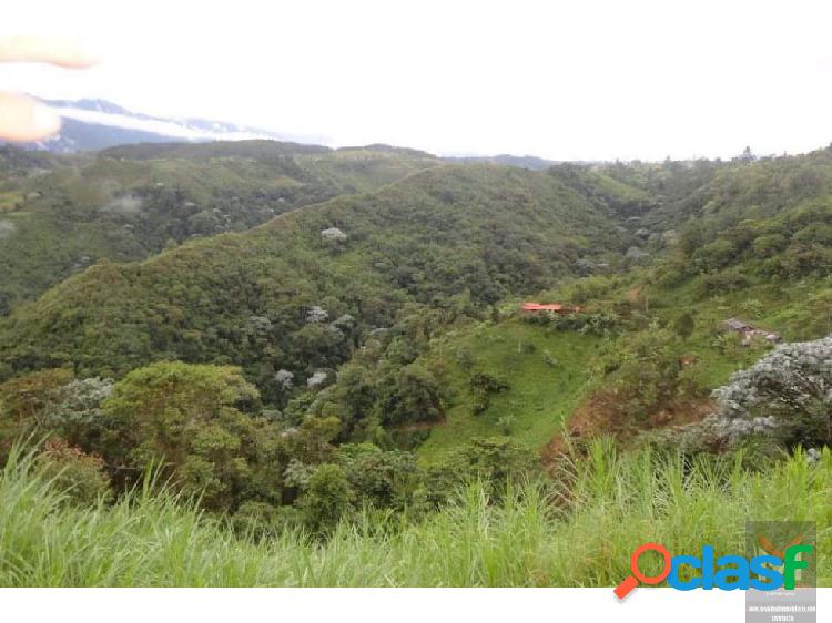 Se vende finca pequeÃ±a via Pereira-Armenia