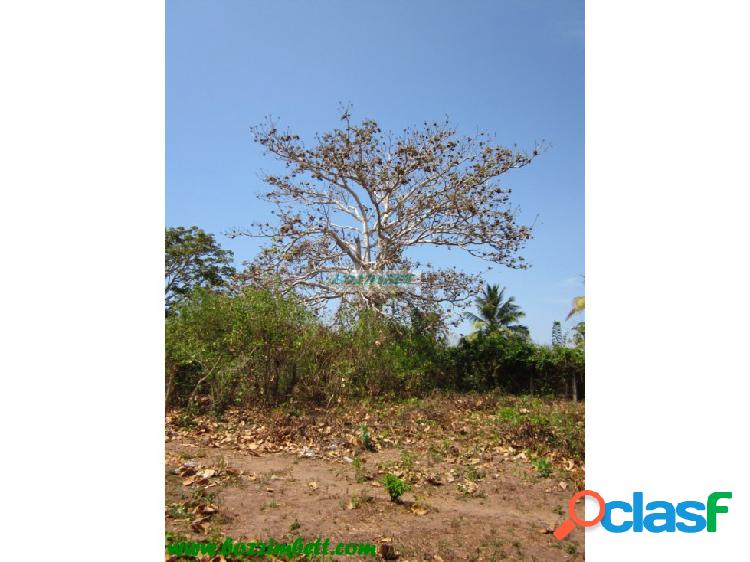 37313 - Se Vende Lote Zona Norte