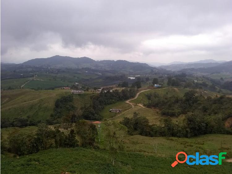 LOTE CON FINCA EN VENTA LA UNIÃN ANTIOQUIA