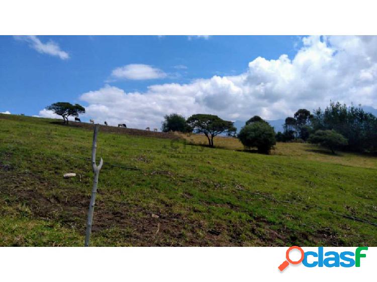 Vendo finca La Calera 71250 m2