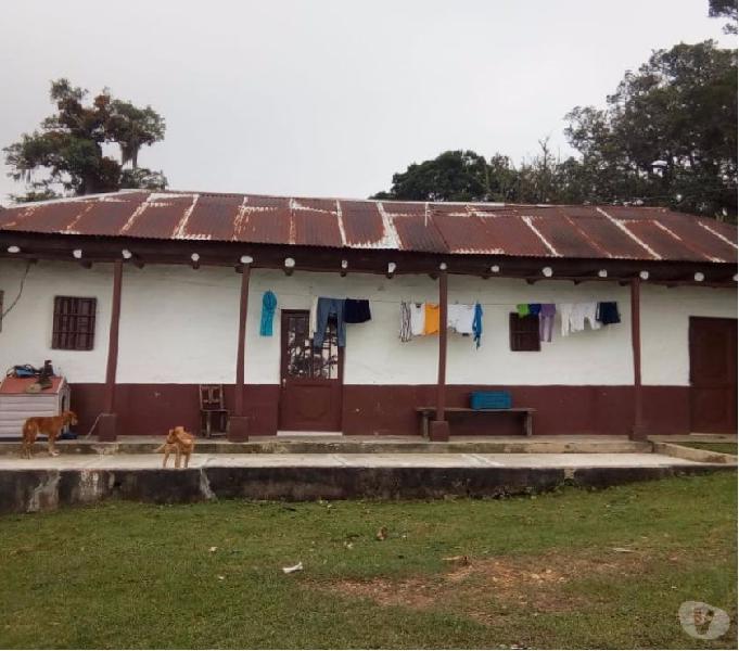 SE VENDE O PERMUTA FINCA EN ALPUJARRA TOLIMA