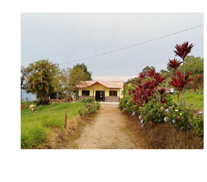 Venta de finca en Fredonia, (Antioquia)