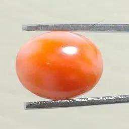 Coral Piedra 100% Natural 5.22 Quilates $ 180.000