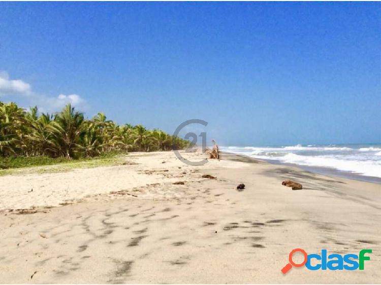 Finca 20 Ha con Playa en Guachaca Santa Marta