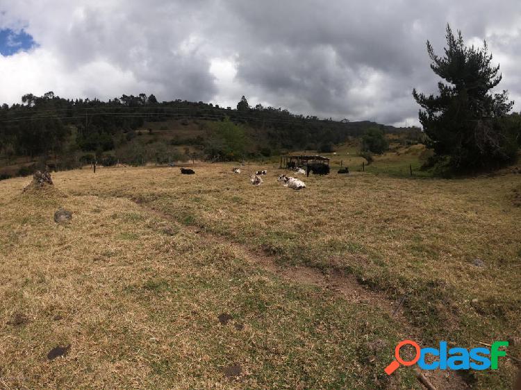 Lote en venta Tunjuelito Usme:20-641 ACFM