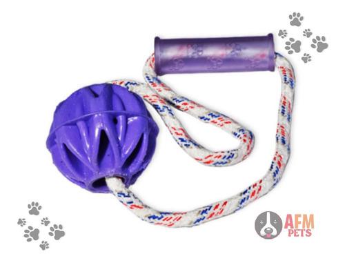 Pelota Loca Para Perro Con Lazo + Obsequio