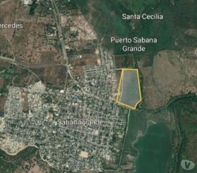 SE VENDE LOTE 13 HECTAREAS VIA PUERTO EN SABANA GRANDE