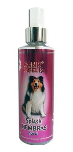 Splash Canis Y Felis Para Hembras Perfume Perros Y Gatos