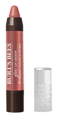 Gloss Lip Crayon Burt's 2,83 G Marca Burts Bees