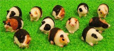 Conejillos De Indias Miniatura En Miniatura, 12 Piezas