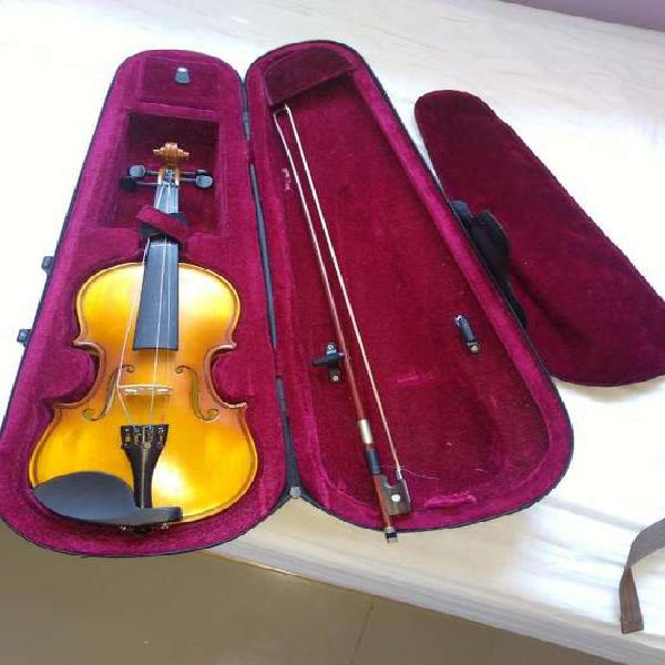 Violin Un Medio