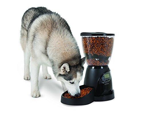 Dispensador Alimentos Para Mascotas Aspen Lebistro 30 Cup