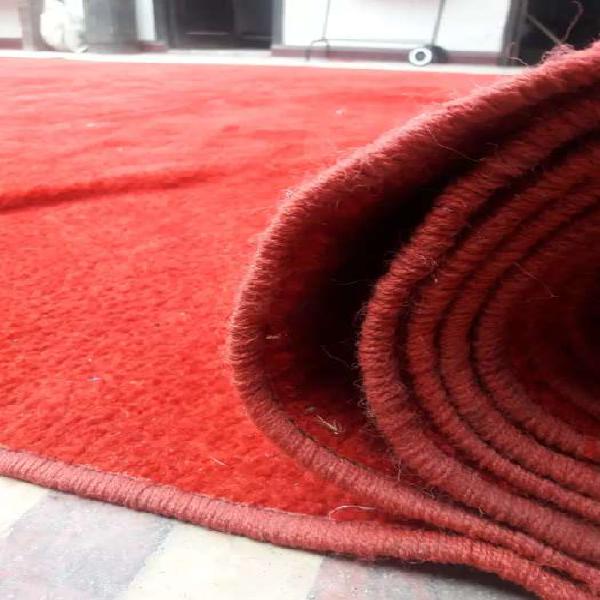 ESPECTACULAR ALFOMBRA ROJA .