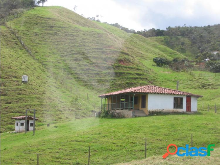 Finca en Venta Vereda Santa bárbara, San Pedro.