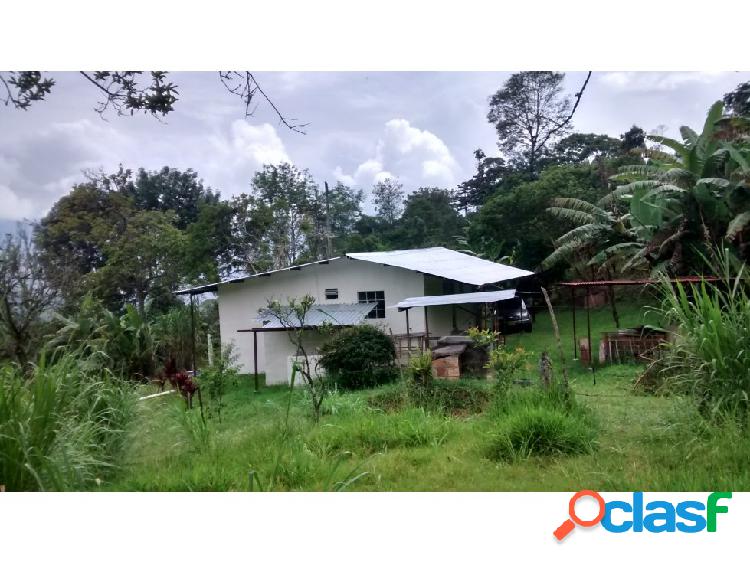 Finca en Venta en San francisco Cundinamarca