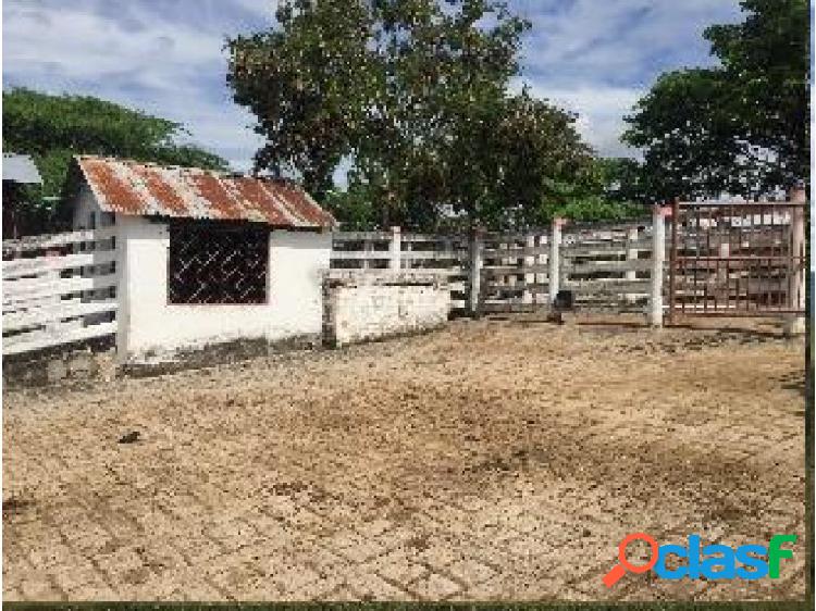 Se Vende Finca Ganadera en Agua de Dios