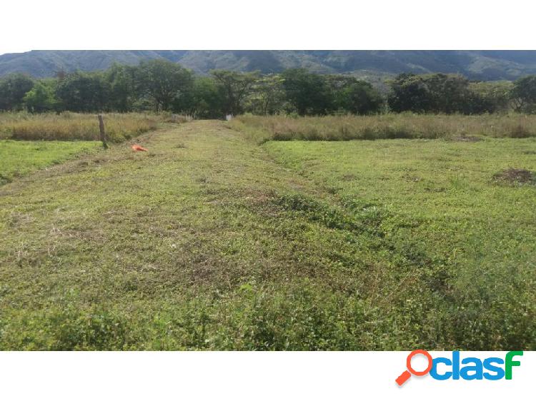 Se vende Lote Urbano en Tasalia Huila