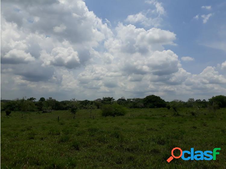 Finca de 24 Ha en Montería, Córdoba