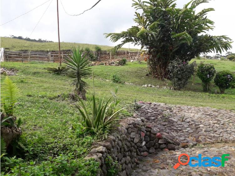 VENTA FINCA EL DARIEN VALLE DEL CAUCA