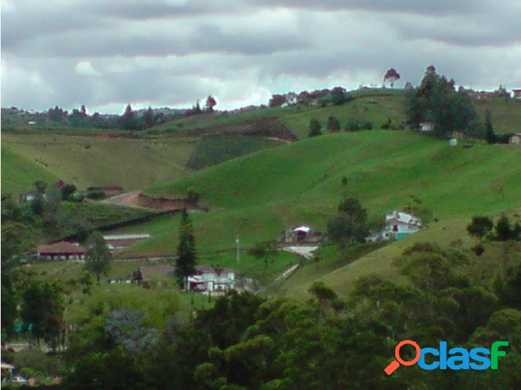 Lote en Venta en Guarne Antioquia
