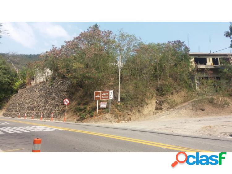 VENTA DE LOTES EN APULO