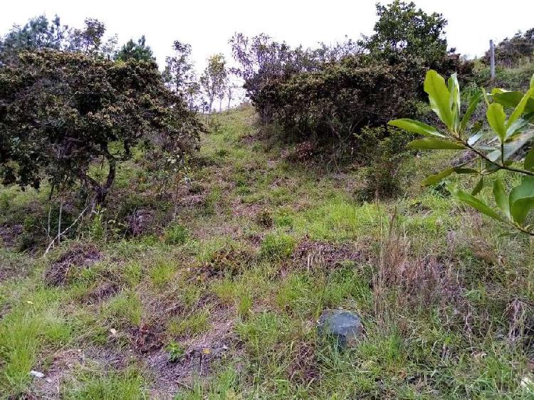 Lote Buesaco de 2500m. Veracruz