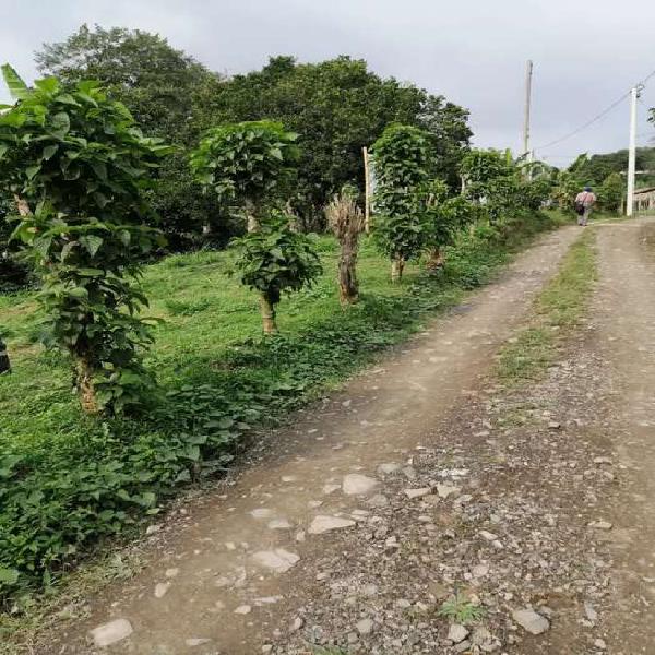 Lotes en venta en sasaima Cundinamarca