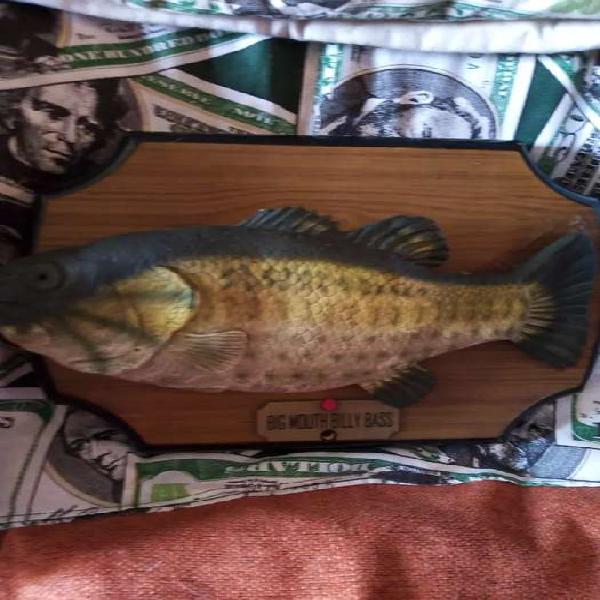 Vendo pescado decorativo