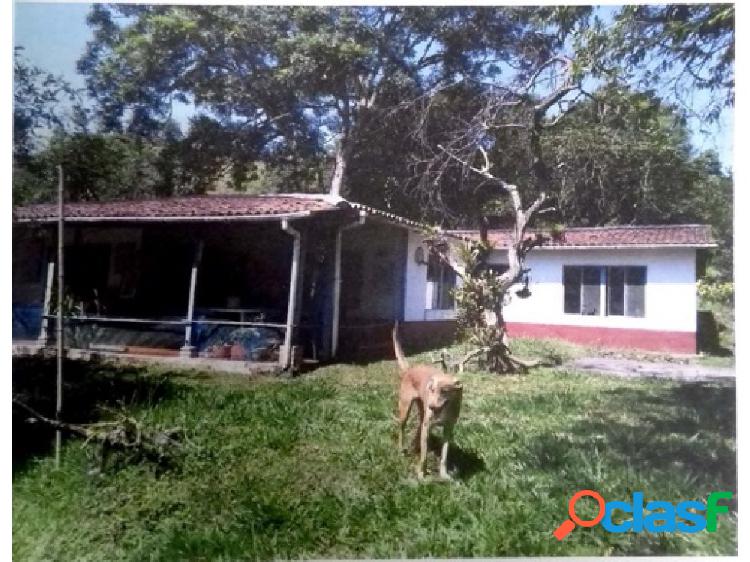 FINCA SASAIMA VENTA