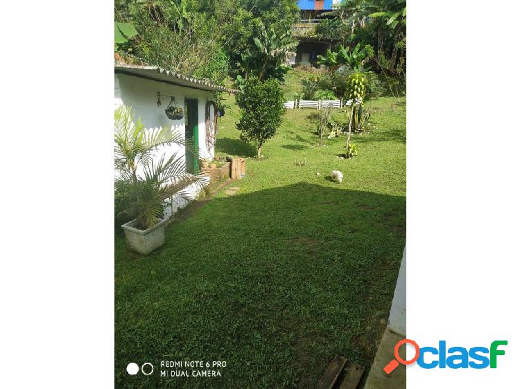 SE VENDE FINCA EN DAPA - VALLE DEL CAUCA