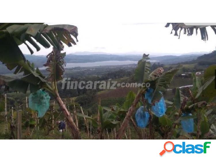 SE VENDE FINCA EN EL DARIEN - VALLE DEL CAUCA