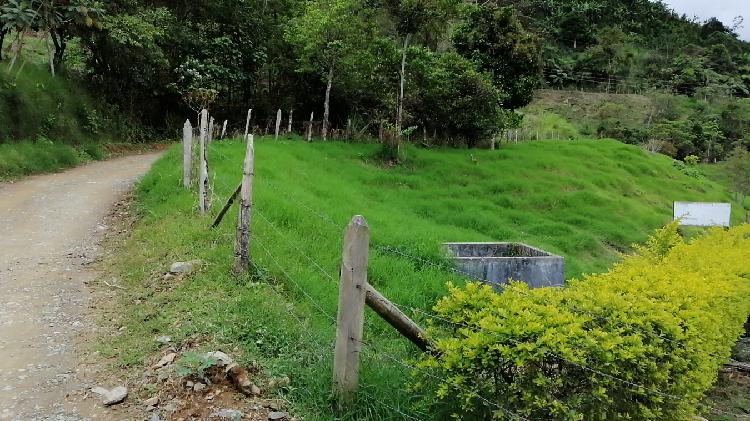 Vendo finca ganadera tulua vallek