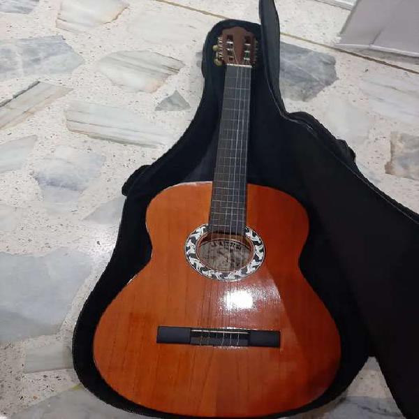 Guitarra acústica con forro semiduro